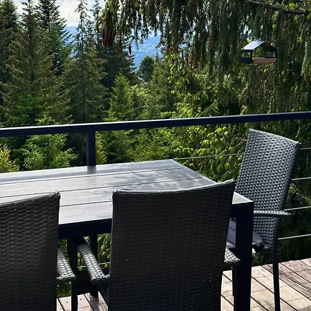 Chalet Forest Huts Yablunytsya