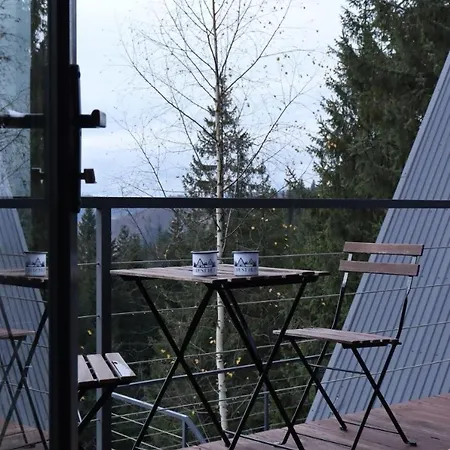 Forest Huts