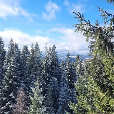 Forest Huts Yablunytsya