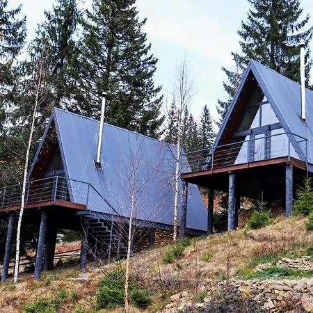 Forest Huts Chalet Yablunytsya