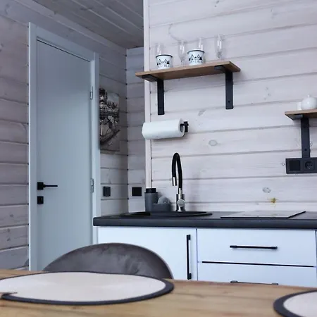 Chalet Forest Huts Yablunytsya