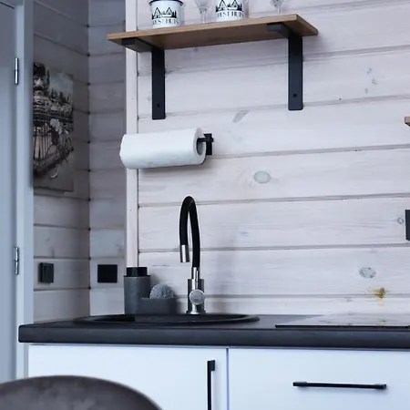 Chalet Forest Huts Yablunytsya