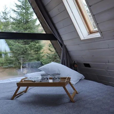 Chalet Forest Huts Yablunytsya