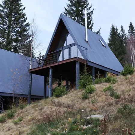 Forest Huts Chalet *